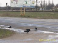 Почетне з panoramio.com