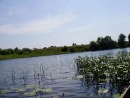 Комань з panoramio.com