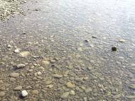 Ганнівці з panoramio.com