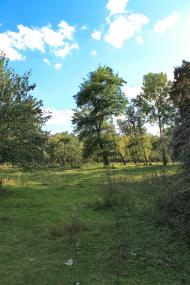 Новофастів з panoramio.com