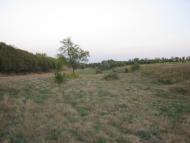 Петровеньки з panoramio.com - Петровеньки
