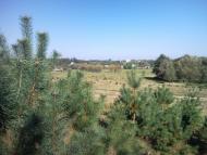 Хитрейки з panoramio.com