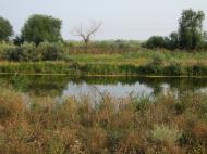 Красна Коса з panoramio.com