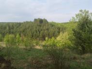 Нова Січ з panoramio.com