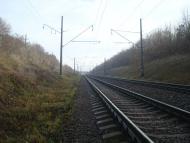 Рідкодуби з panoramio.com