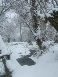 Тернавка з panoramio.com