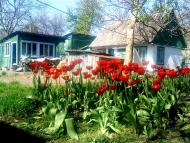 Дернівка з panoramio.com