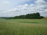 Мала Колибань з panoramio.com