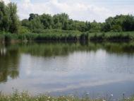 Жерденівка з panoramio.com