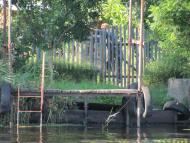 Комишани з panoramio.com