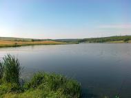 Куряче з panoramio.com