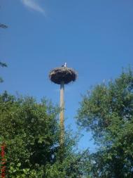 Босівка з panoramio.com