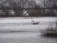 Пісочне з panoramio.com