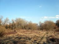 Єньків з panoramio.com