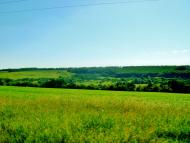 Багачівка з panoramio.com