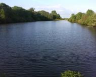 Головлі з panoramio.com