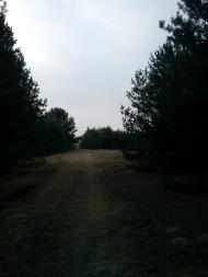 Арламівська Воля з panoramio.com