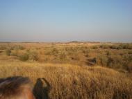 Ольшанське з panoramio.com