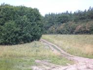 Кам'янка з panoramio.com