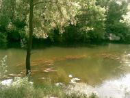 Битиця з panoramio.com