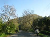 Тур'ї Ремети з panoramio.com - Турьи Реметы