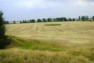 Новий Стародуб з panoramio.com