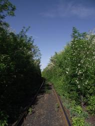 Калінінський з panoramio.com