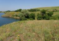 Вільхівка з panoramio.com