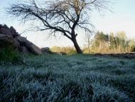 Мелені з panoramio.com