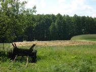 Мисайлівка з panoramio.com