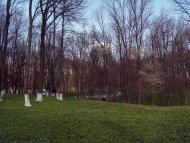 Верхівня з panoramio.com