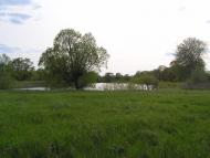 Новомутин з panoramio.com