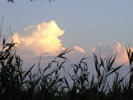 Бабинці з panoramio.com