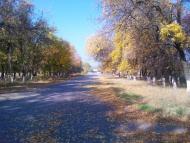 Островського з panoramio.com