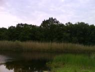 Усть-Лип'янка з panoramio.com