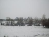 Куна з panoramio.com