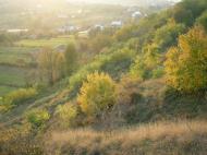 Сільце з panoramio.com