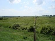 Русанів з panoramio.com