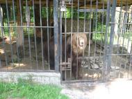 Город з panoramio.com