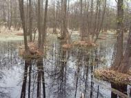 Правобережна Сокілка з panoramio.com