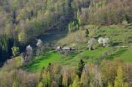 Бабин з panoramio.com - Бабин