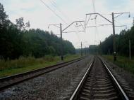 Цвітоха з panoramio.com