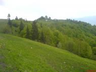 Стригальня з panoramio.com - Стригальняя