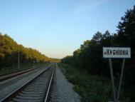 Зарічне з panoramio.com