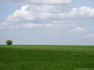 Новокалинове з panoramio.com