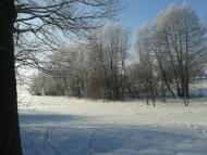 Чагарі-Збаразькі з panoramio.com