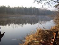 Дмитрівка з panoramio.com