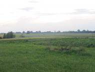 Клопіт з panoramio.com