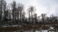 Ворочово з panoramio.com - Ворочево
