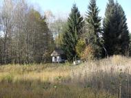 Сильне з panoramio.com